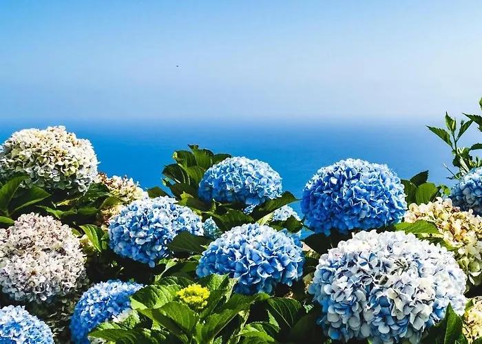 Center Marina View Gold 公寓 *