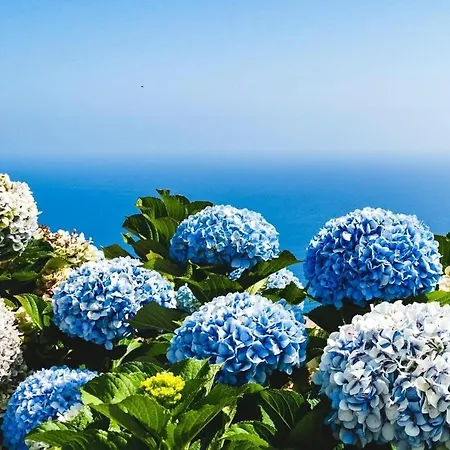 Center Marina View Gold Appartement *